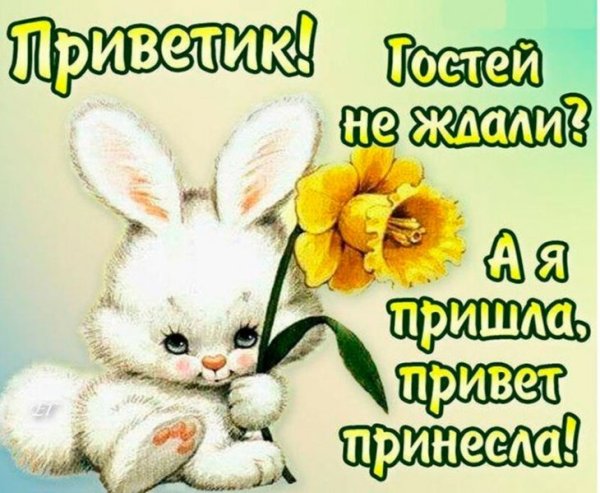 Привет как дела картинки