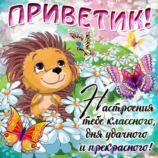 Открытки приветик