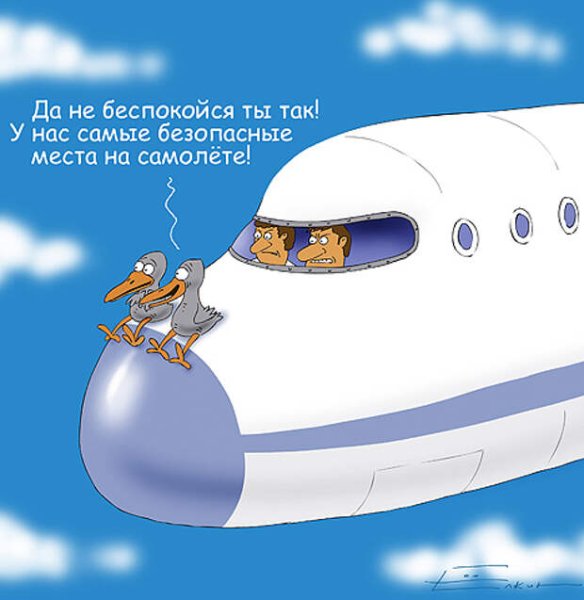 Пожелание счастливого полета на самолете