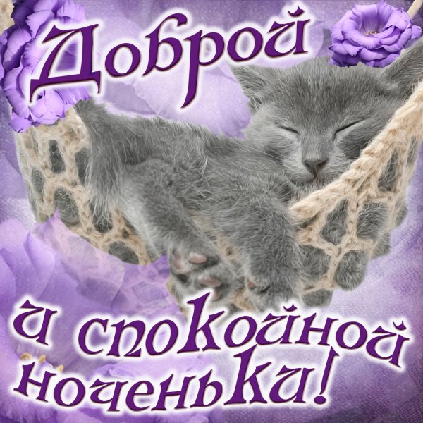 Пожелания спокойной ночи