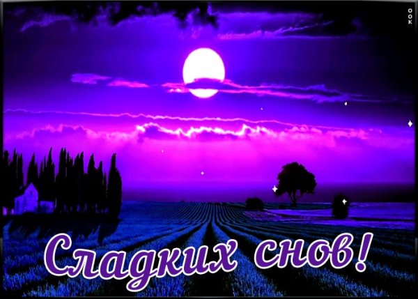 Спокойной ночи друзья
