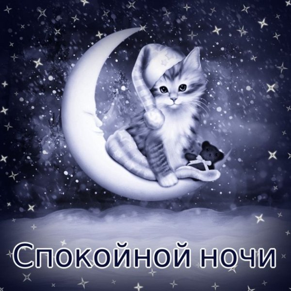 Спокойной ночи любимому