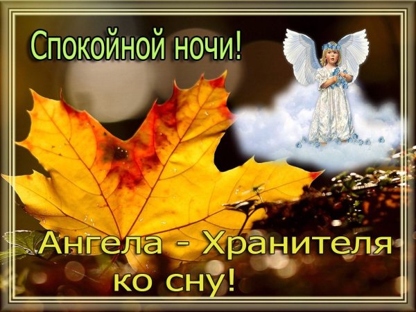 Ангела ко сну
