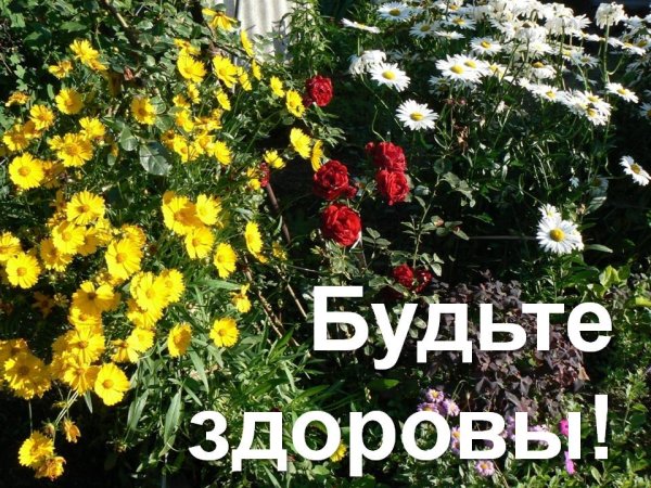 Будьте здоровы