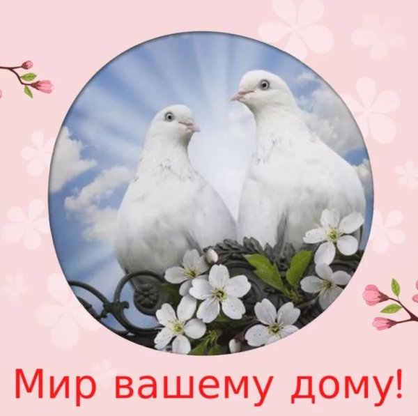 Мир вашему дому