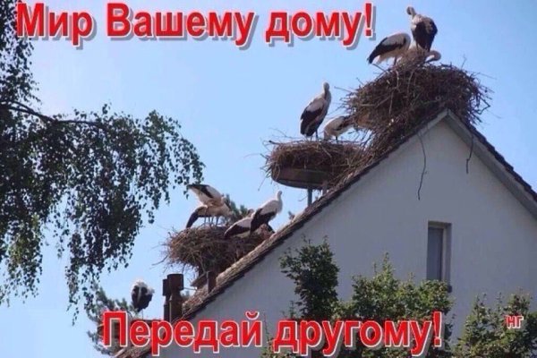 Мира и добра вашему дому