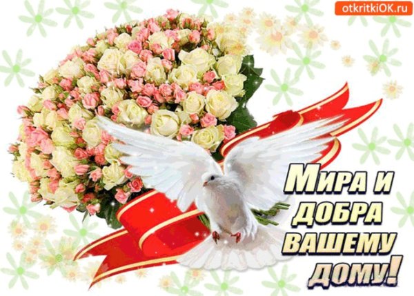 Цветы Прованса