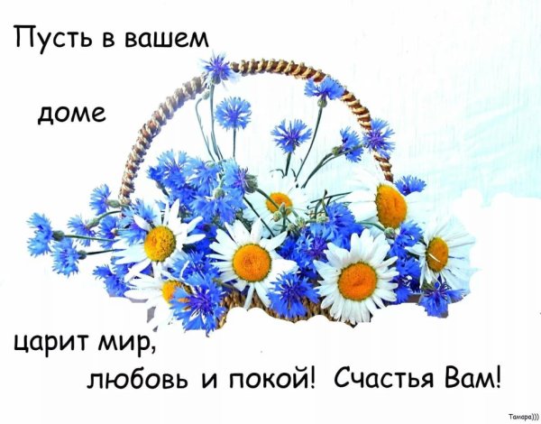 Голубь счастья