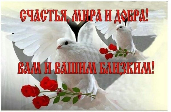 Мир вашему дому