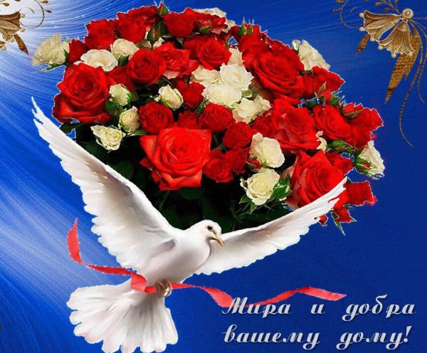 Мира и добра вашему дому