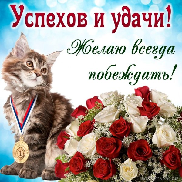 Открытка "удачи!"