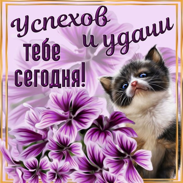 Пожелание удачи