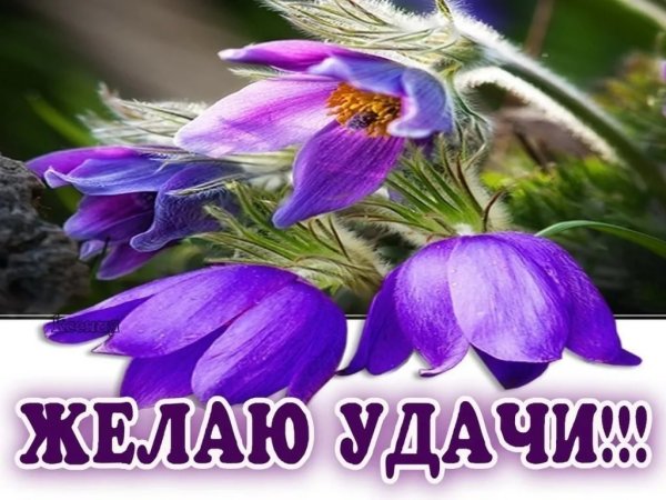 Открытки с пожеланием удачи