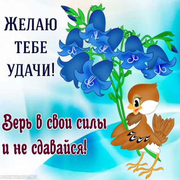 Символ удачи и везения