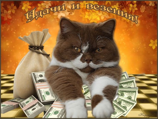 Ангелочка на удачу