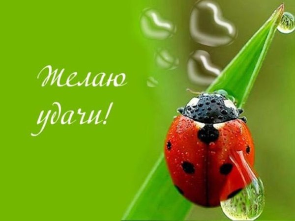 Пожелания удачи и успеха