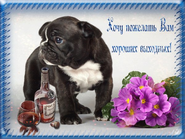 Открытка "выходной"