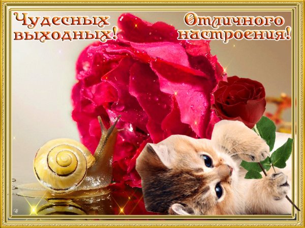 Пожелания хороших выходных