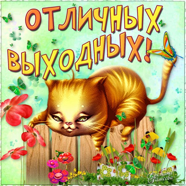 Хороших выходных