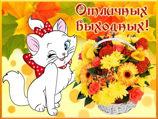 Прекрасных выходных