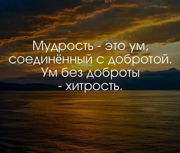 Красивые высказывания о жизни