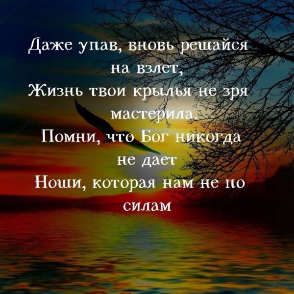 Свобода радость счастье