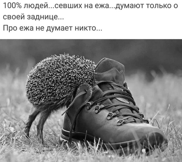 Короткие цитаты