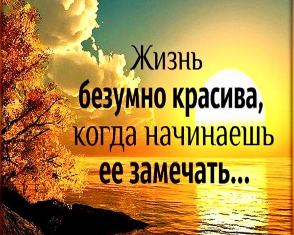 Это одиночество