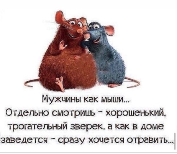 Статусы юмор