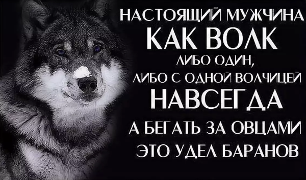 Крутые цитаты для мужчин