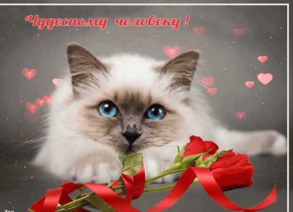 Пожелания хорошему человеку