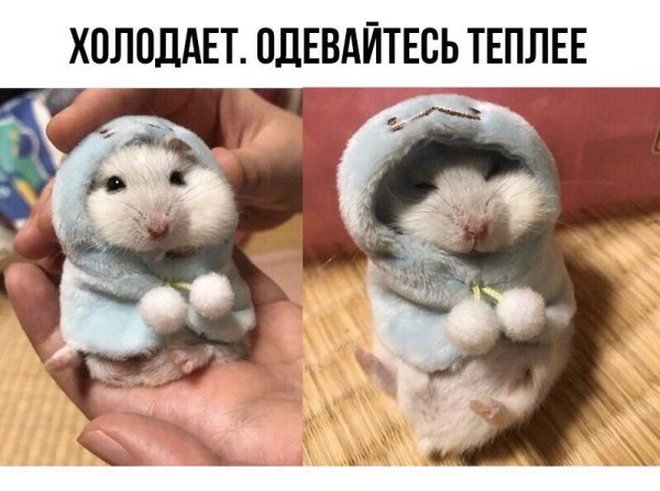 Холодает одевайтесь