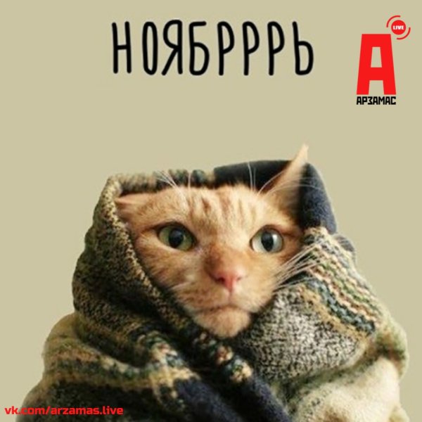 Холодает одевайтесь теплее