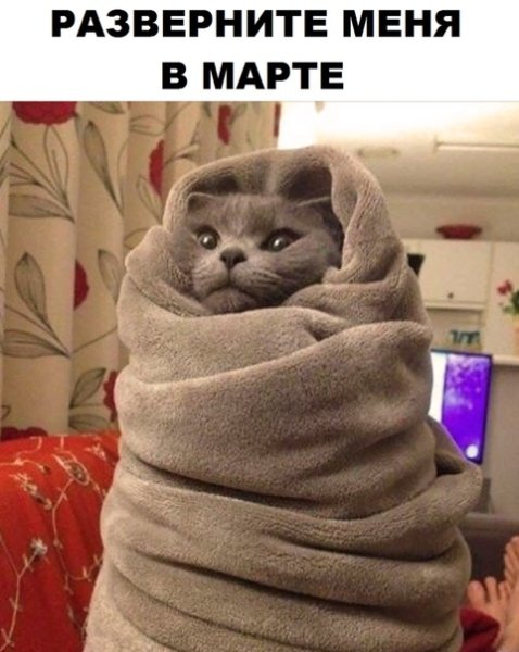 Добрый день с юмором зимние