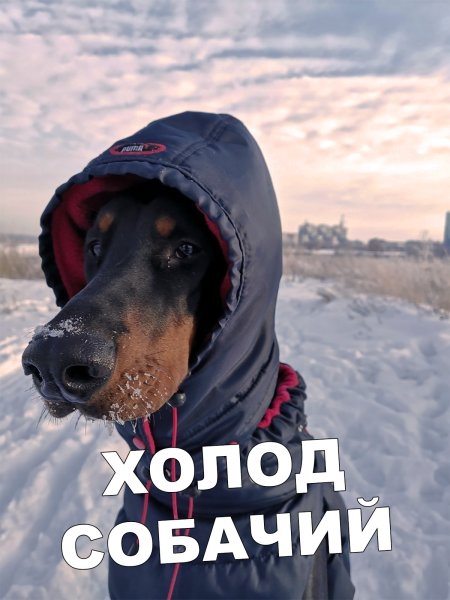 Шутки про зиму