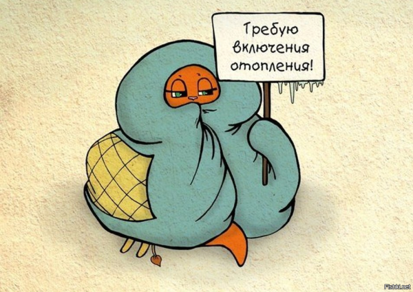 Кот мерзнет в снегу