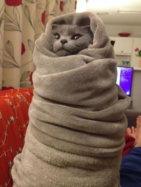 Холодно прикол