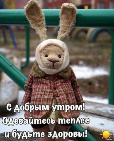 Наступают холода прикольные