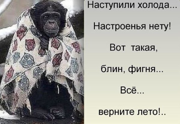 Открытка бррр холодно