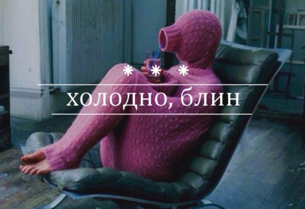 Помогите бездомным животным зимой