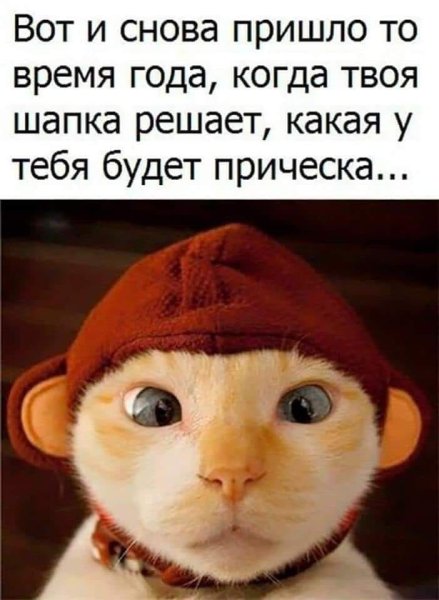 Сильный Мороз прикол
