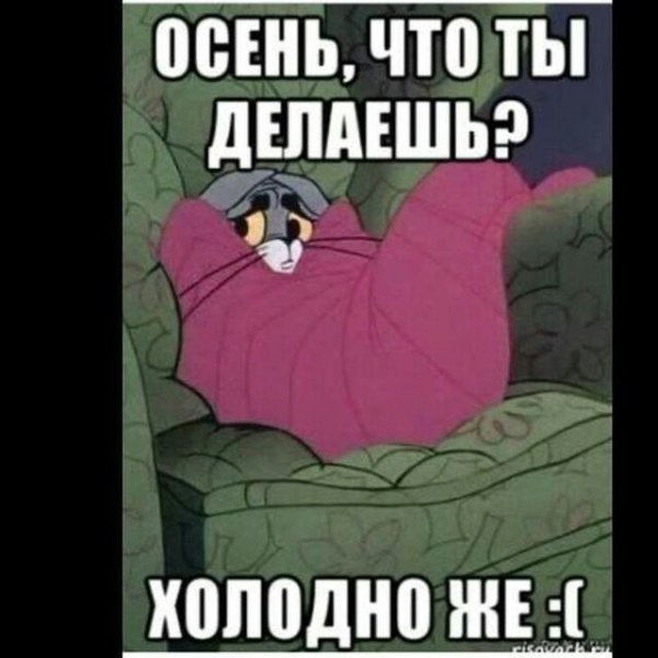 Цитаты про зиму