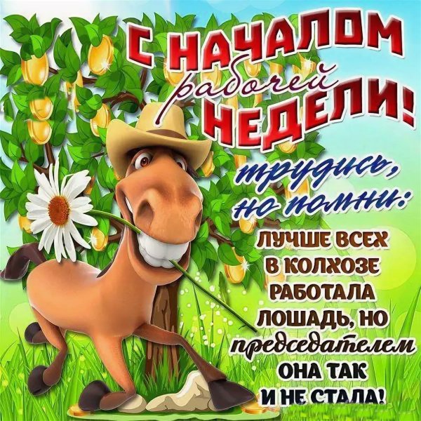С началом новой недели