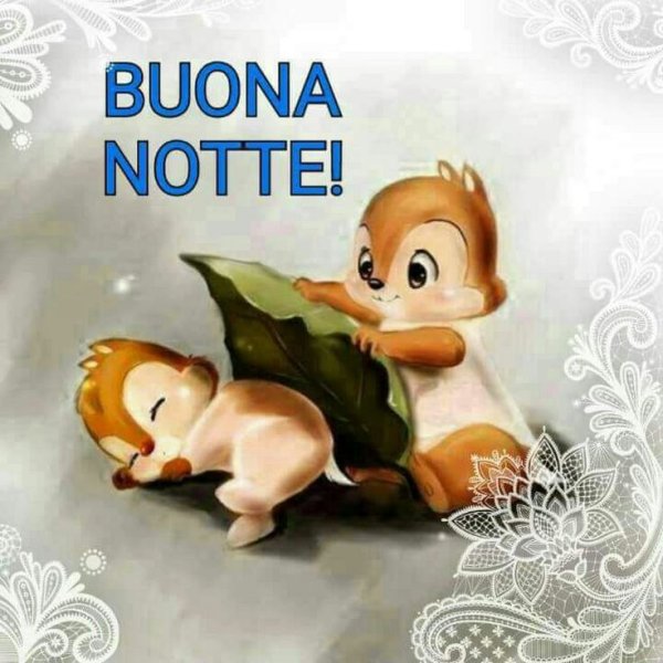 Забавные открытки Buonanotte