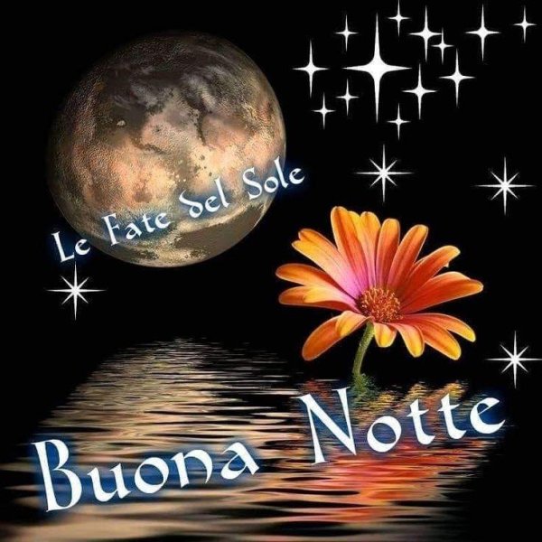 Buona notte картинки прикольные