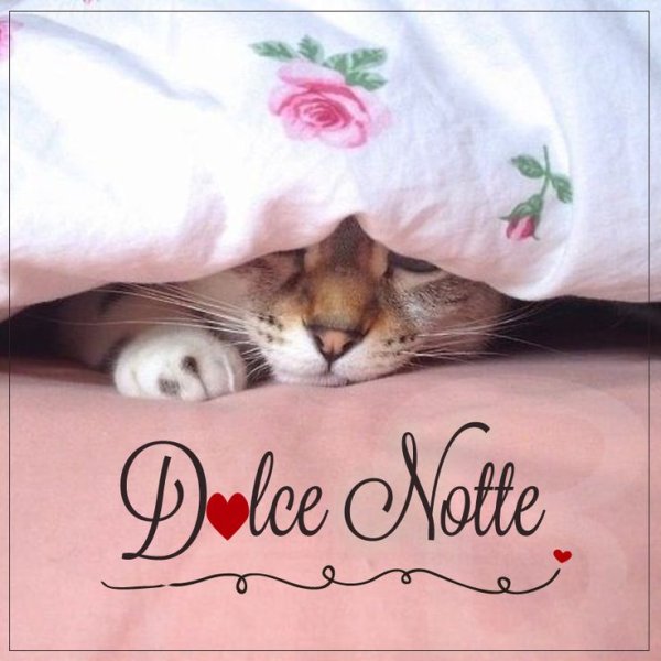 Открытки Буонанотте