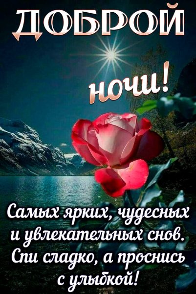 Спокойной тихой ночи