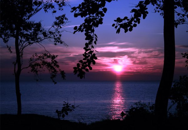 Доброго вечера и спокойной ночи