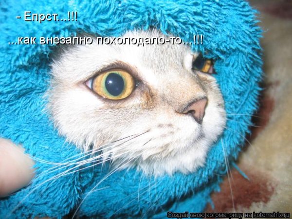 Похолодало однако