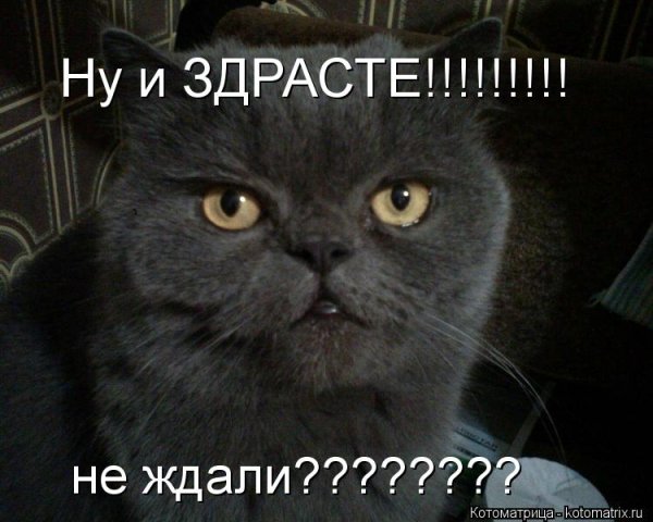 Здрасьте картинки